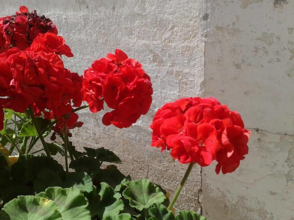 Borgo San Martino 호텔 브라 외부 사진
